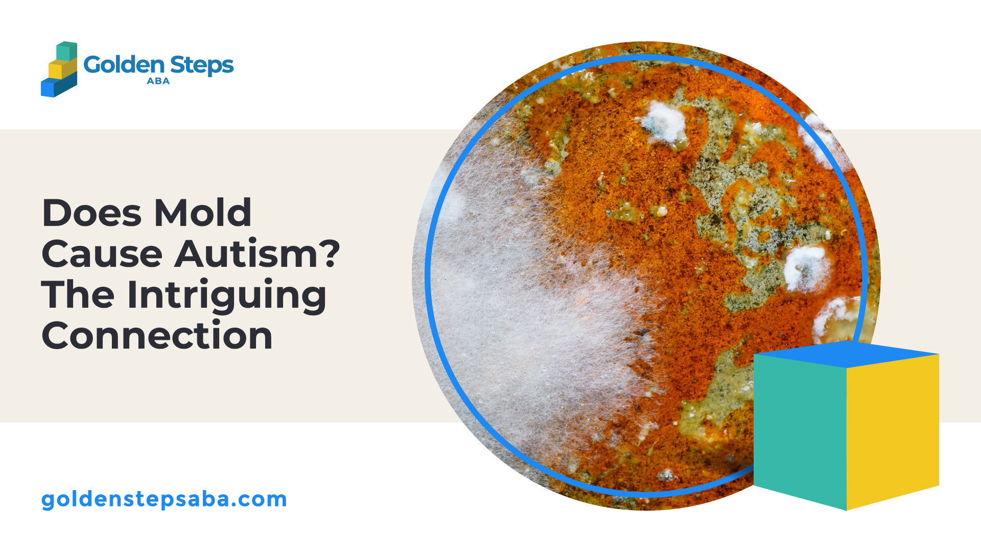 Does Mold Cause Autism? The Intriguing Connection